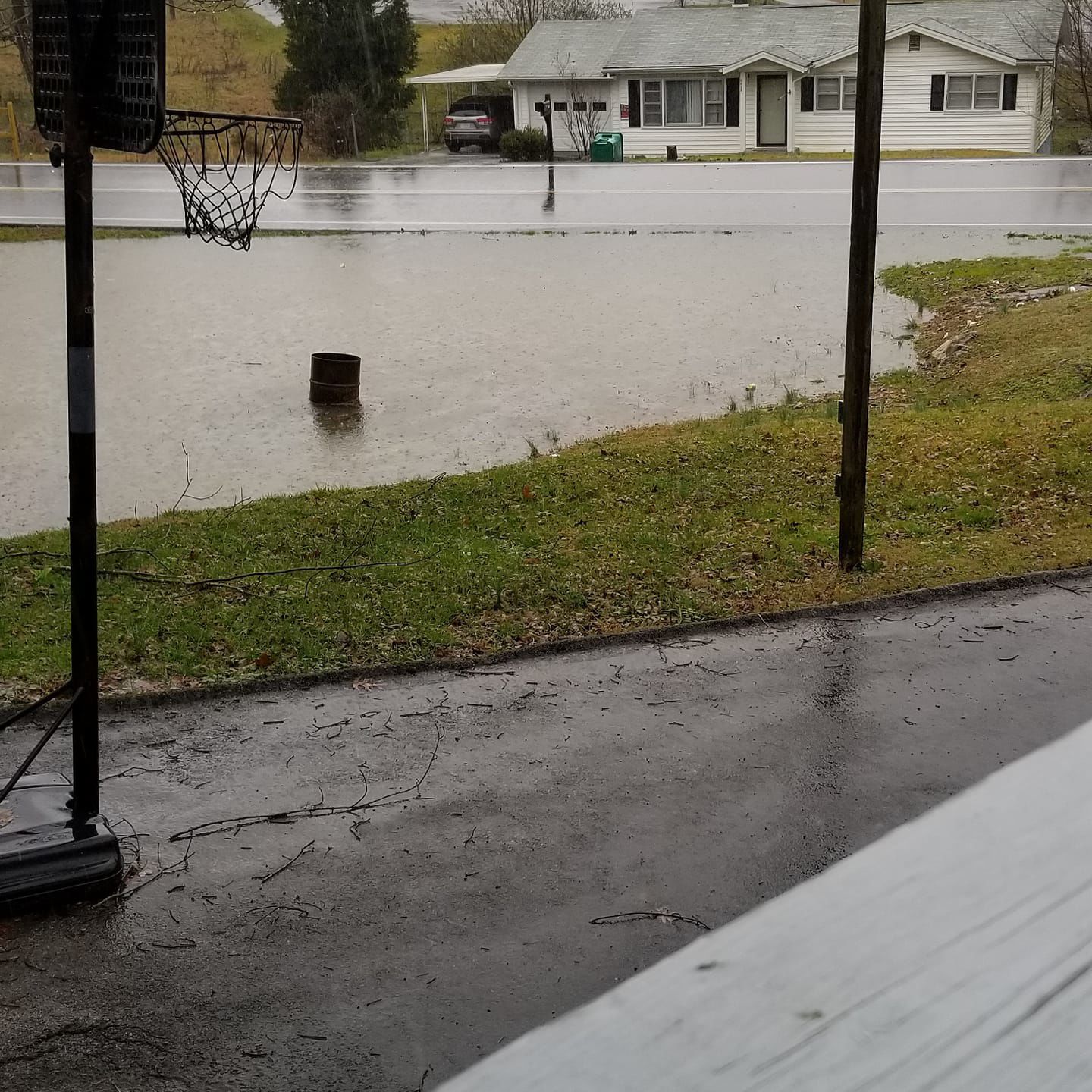 Young front yard